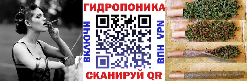 Где можно купить наркотики Фрязино Cocaine  Alpha-PVP  Бошки Шишки  Галлюциногенные грибы  МЕФ 