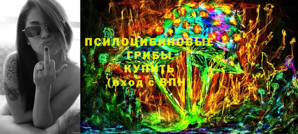 apvp Арсеньев