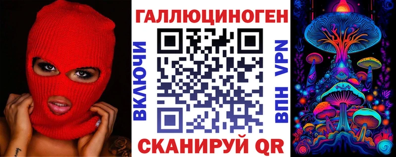 Галлюциногенные грибы Psilocybe  Фрязино 