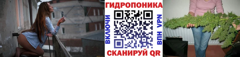 мега вход  Фрязино  Бошки марихуана Bruce Banner 